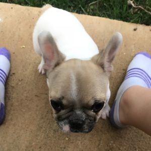 Meet your Posher, Caroline